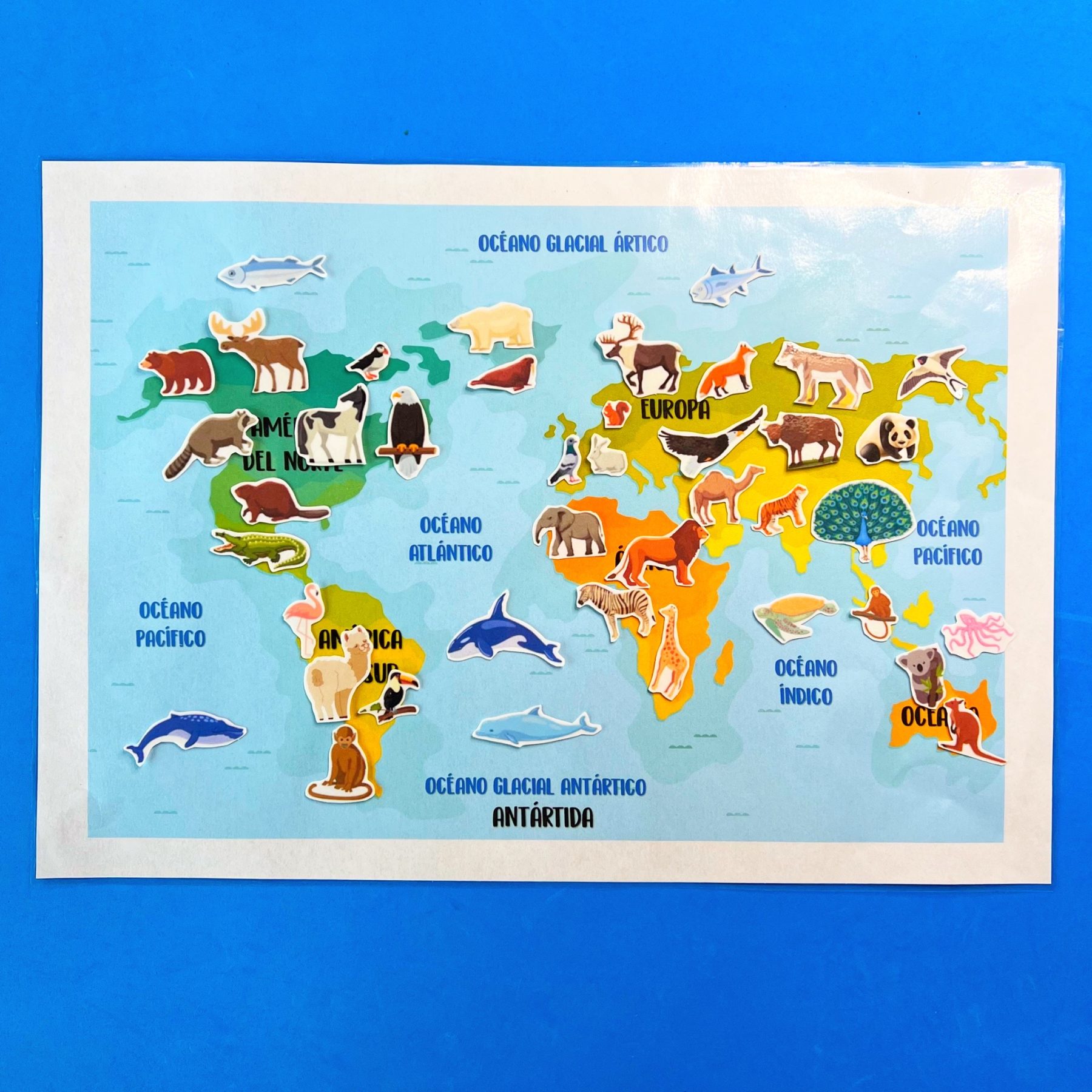 Animales Del Mundo